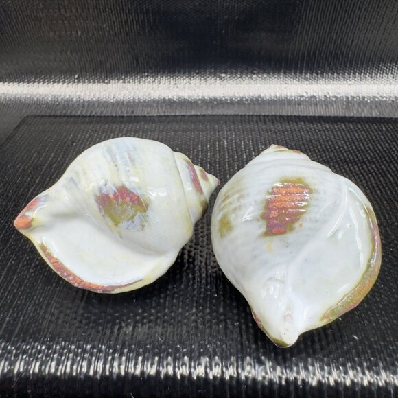 Hand Made Card Holder Stoneware Shell Conch Set 2 Decorative Hand Crafted Figure - Picture 1 of 12